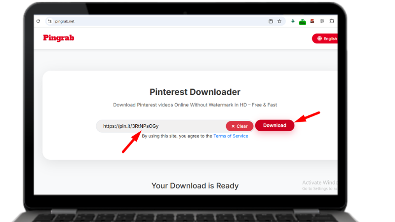 Paste your Pinterest link into the input box